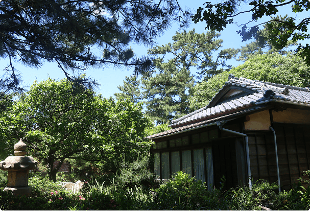 A beautiful view of the heritage site